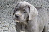 OONA